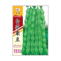 重慶本地受歡迎的四季豆品種，好吃好賣不易老化帶小時(shí)候的清香味