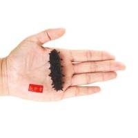 大連特產干制遼刺參淡干海參干貨50g水產干貨批發(fā)