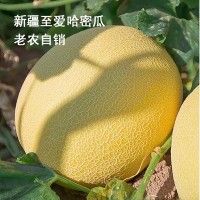 新疆至愛(ài)哈密瓜精品老農(nóng)促銷(xiāo)整箱6至8斤48元順豐包郵