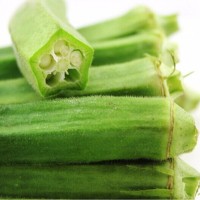 新鮮黃秋葵 本地綠色無公害黃秋葵 批發(fā)量大價優(yōu)