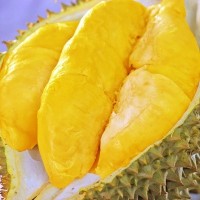 泰國(guó)金枕榴蓮軟糯香甜新鮮熱帶孕婦水果2-5斤A級(jí)果帶殼整個(gè)裝批發(fā)