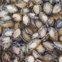 福建連江本地速凍鮑魚(yú)肉 無(wú)殼純?nèi)怩r活速凍鮑魚(yú)酒店餐飲食材批發(fā)