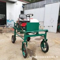 蔬菜打藥機 三輪自走式打藥機 農(nóng)用高壓打藥機