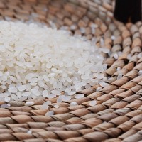 東北盤錦大米特產廠家直批一件代發(fā)蟹田珍珠米袋裝10kg