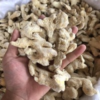 小黃姜 大福龍批發(fā)保質(zhì)量 新貨 姜塊干姜/展銷會(huì)/江湖 /地?cái)?/></a>
<ul><li><a href=