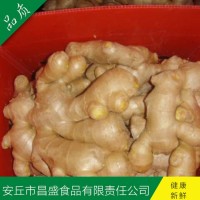 出口歐美、加拿大、荷蘭、英國(guó)級(jí)保鮮姜、風(fēng)干姜（價(jià)格面議）