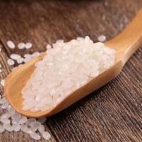 廠家直批大米5kg 蟹田大米 商超餐廳現(xiàn)貨供應 珍珠米香米10斤裝  2袋起批