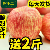 脆甜煙臺(tái)紅富士蘋果水果新鮮條紋山東棲霞萍果10斤批發(fā)包郵禮品盒 2箱起批
