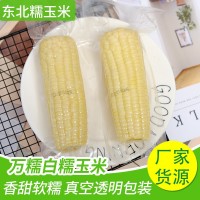 廠家直發東北玉米2100g粗糧代餐糯玉米整箱白玉米棒真空獨立包裝
