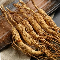 19年林下參干殘數(shù)長白山微殘人參生嗮參老山參殘支足干東北人參