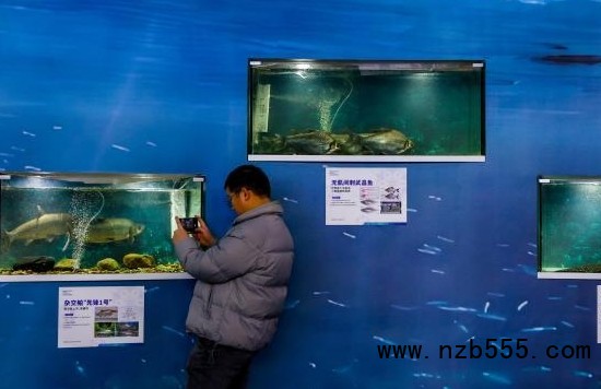 微信截圖_20241223175155