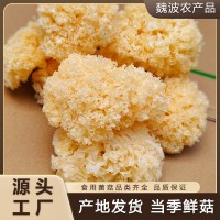 椴木銀耳 天然椴木培育無硫熏易出膠 軟糯多膠 農(nóng)家干貨 廠家直批