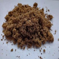 廠家供應 膨化棉籽 反芻動物飼料