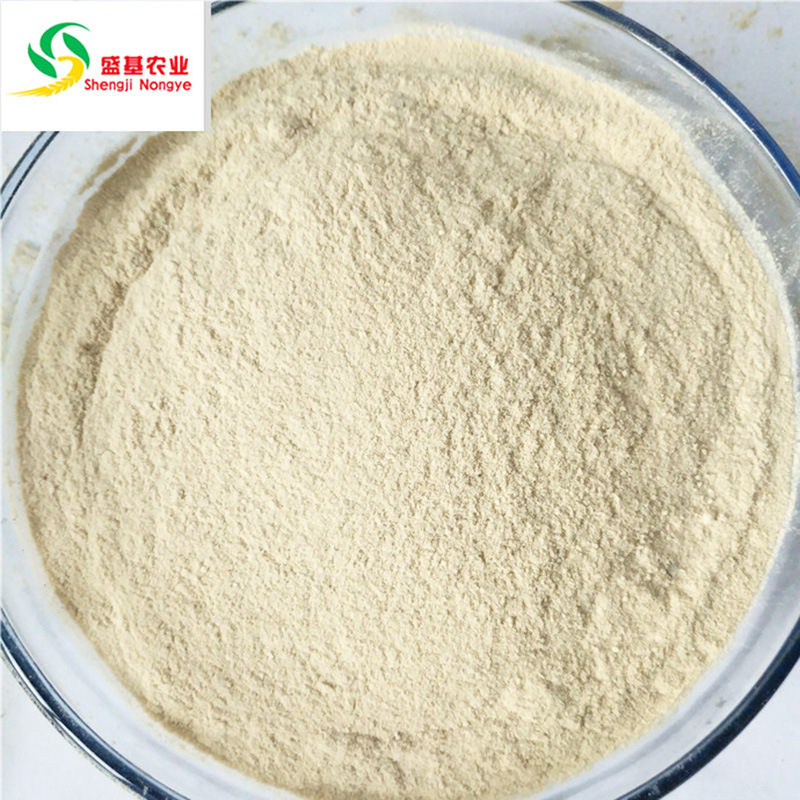 9664381684_1703931766