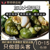 加拿大翡翠螺大海螺海鮮水產(chǎn)自助餐刺身料理火鍋燒烤食材批發(fā)野生