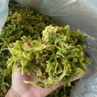 花菜干脫水蔬菜