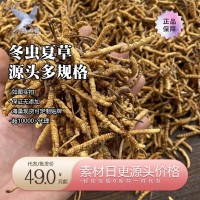 燕大哥品牌溯源冬蟲夏草 西藏那曲蟲草凍干蟲草認(rèn)證 招商加盟代發(fā)