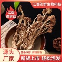 江西廣昌5號茶樹菇干貨批發農家特產新鮮菌菇散裝菌菇類煲湯材料